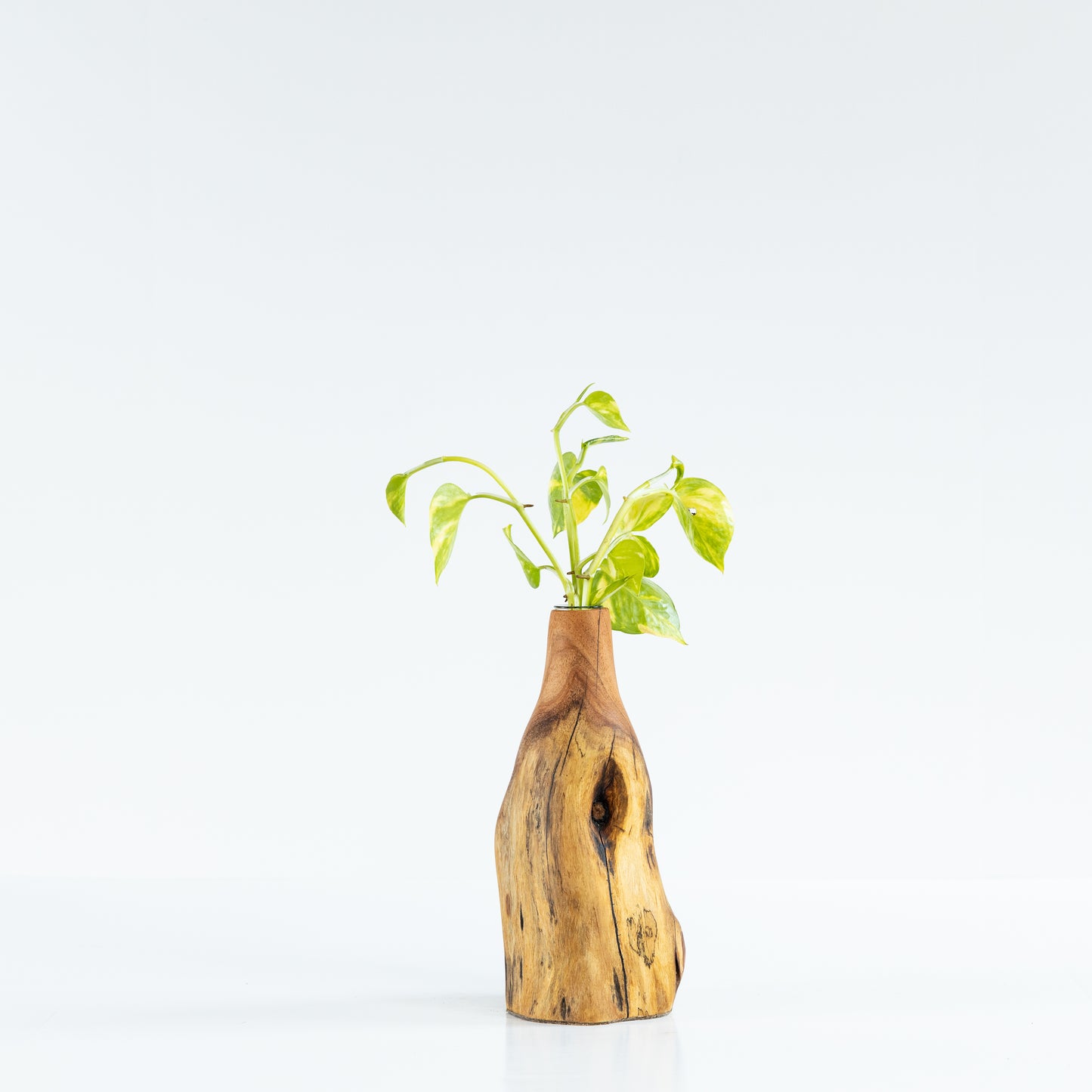 Crepe Myrtle Bud Vase #5