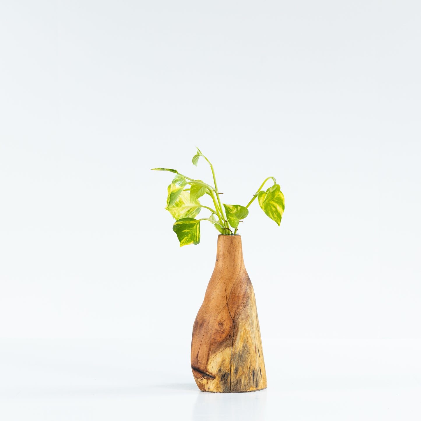 Crepe Myrtle Bud Vase #5