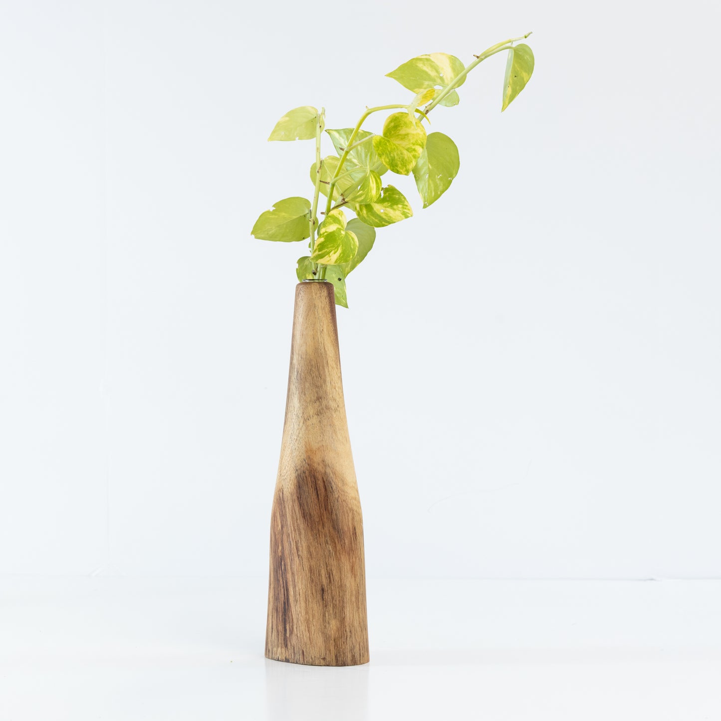 Crepe Myrtle Bud Vase #1