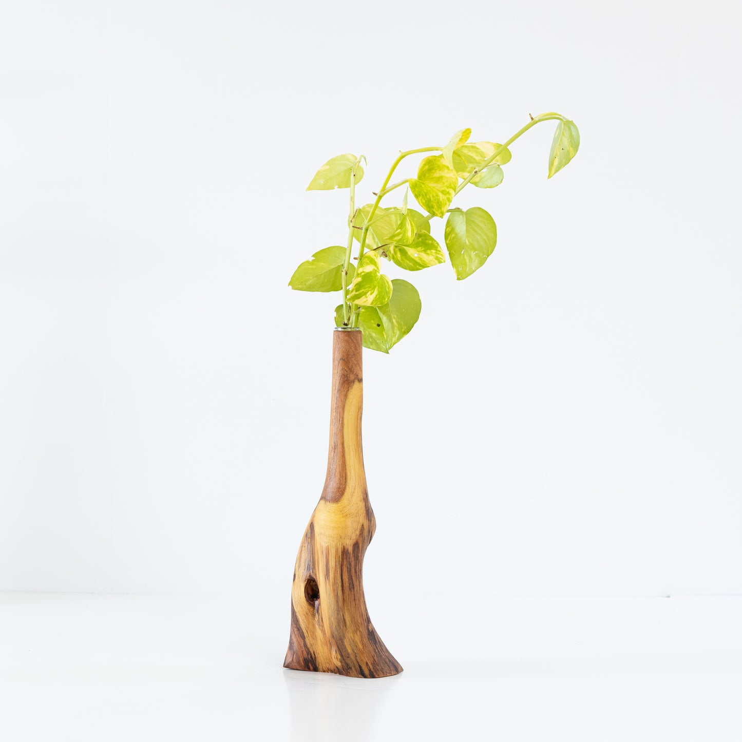 Crepe Myrtle Bud Vase #2