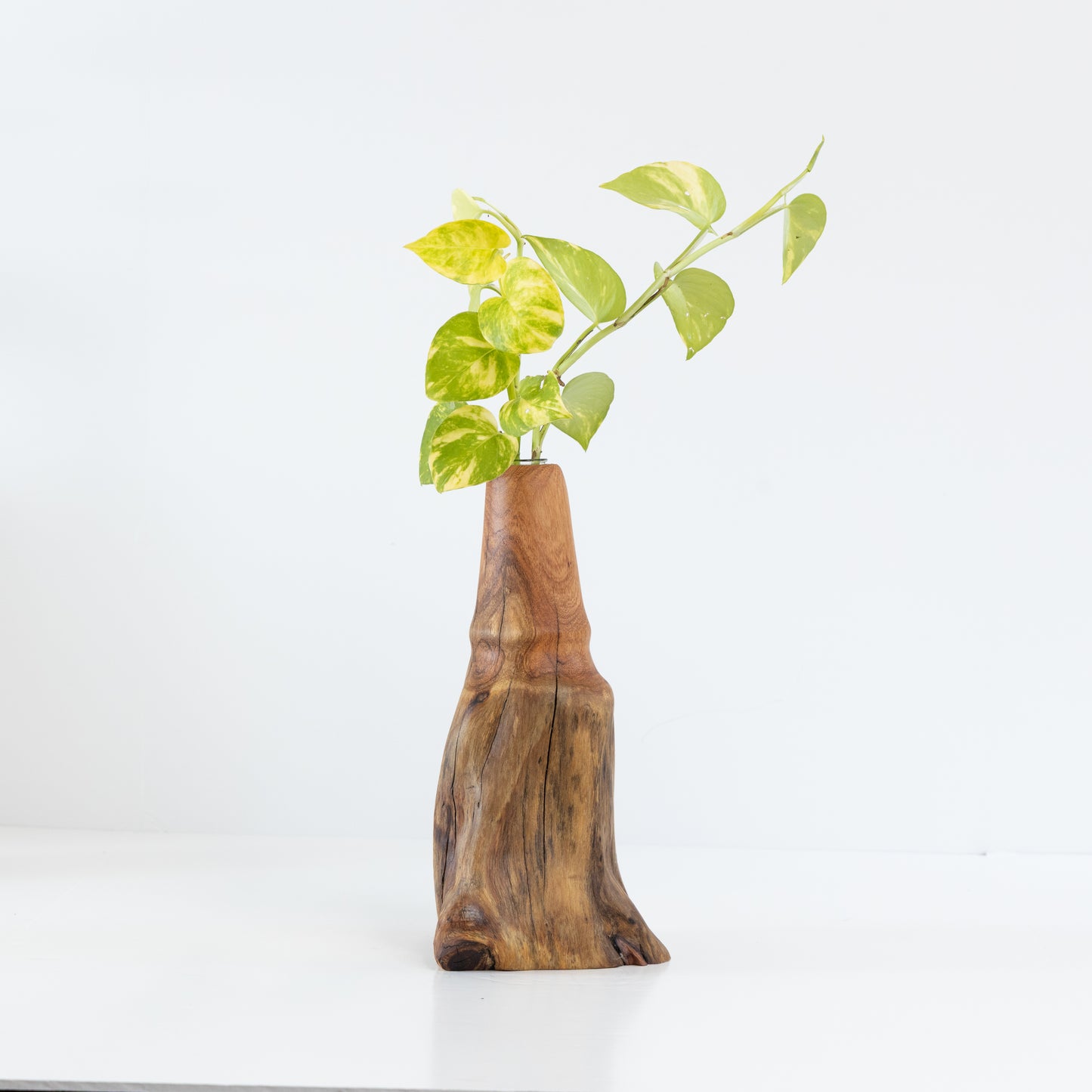 Crepe Myrtle Bud Vase #3