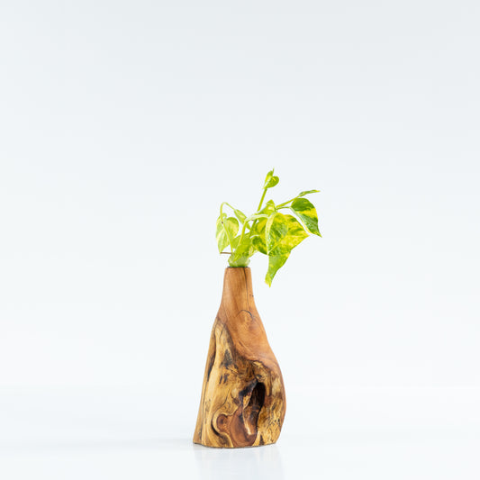 Crepe Myrtle Bud Vase #5